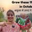 Grow these 11 Vegetables in October | अक्टूबर में ये सब्ज़ियाँ लगाएँ  #vegetablegarden