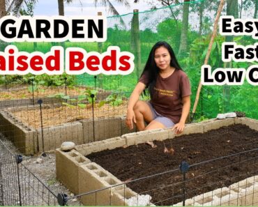 How to Build Raised Garden Beds Cheap and Easy | DIY Raised Garden Bed