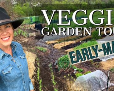 Vegetable Garden Tour Early-May 2022:  Zone 6a, Ohio