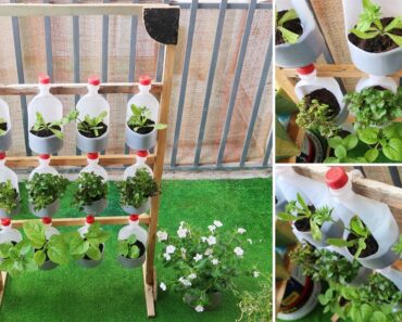 Amazing Vertical Garden, DIY Vertical Vegetable Garden from plastic bottles for Balcony