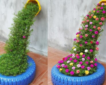 Tips For Making Beautiful Portulaca (Mossrose) Flower Waterfalls For Small Gardens