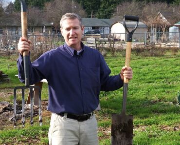 Choosing the Right Garden Tools for Your Vegetable Garden