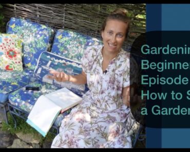 Gardening for Beginners, Episode 1: How to Start a Garden