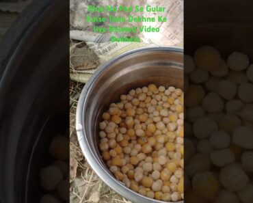 मटर उगाने का सबसे अच्छा तरीका | The Best Way to Grow Peas | #trending#shorts#viral#gardening