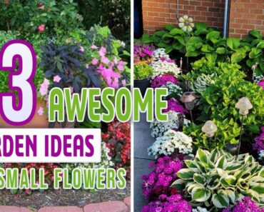 23 Awesome Garden Ideas For Small Flowers