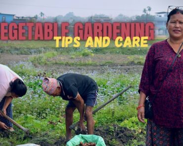 Vegetable Gardening Tips and Tricks I Gardening Ideas for Home I Nepali Gardening Tips