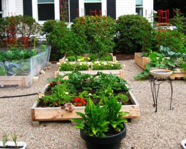 WONDERFUL! 100+ VEGETABLE GARDENING AREA DESIGN IDEAS | BACKYARD GARDEN TIPS FOR GROWING VEGETABLES