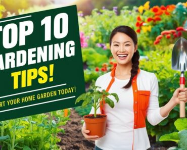 Top 10 Gardening Tips for Beginners | Start Your Home Garden Today!” #gardening