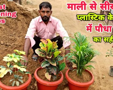 माली से सीखे प्लास्टिक के गमले में पोधा लगाने का सही तरीका ।। Best Gardening Tips