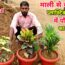 माली से सीखे प्लास्टिक के गमले में पोधा लगाने का सही तरीका ।। Best Gardening Tips