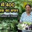 Harvesting Of Organic Vegetables From Rooftop Terrace Garden