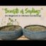 Benefits of Saplings for Vegetable Gardening beginners | Winter Vegetables |